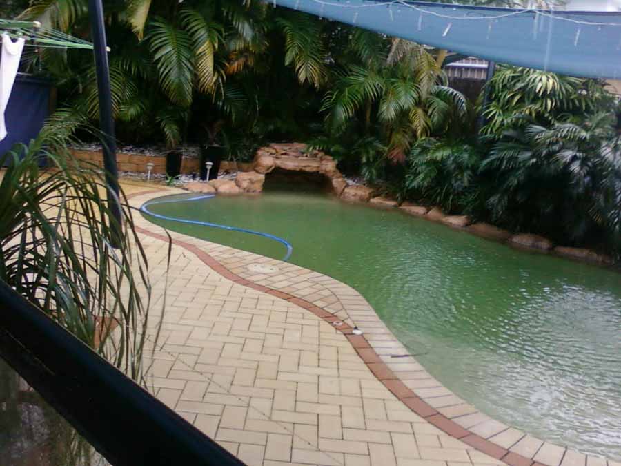 pool with vegetation and dark bricks