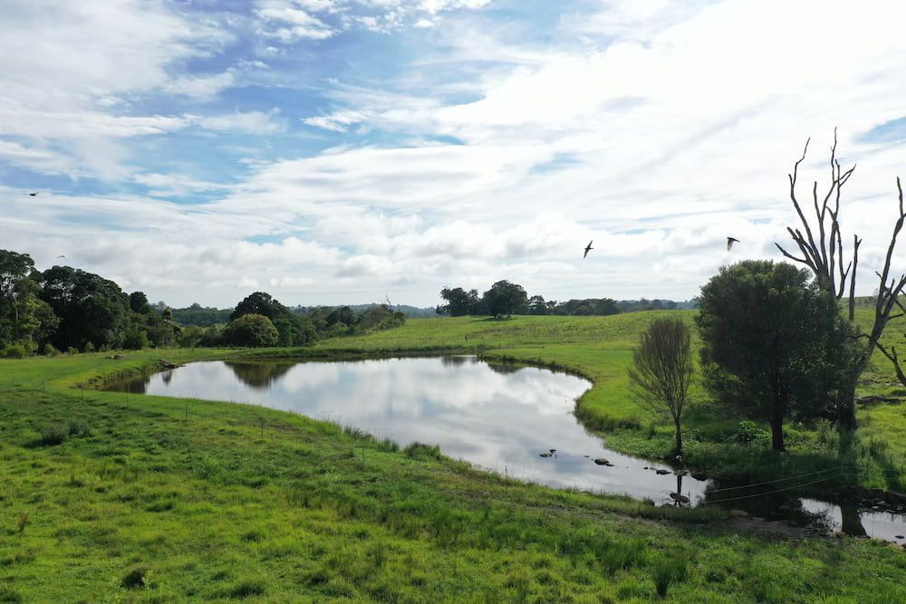 There Is A Small Pond In The Middle Of A Grassy Field — J & M Bashforth & Sons In Brunswick Heads, NSW