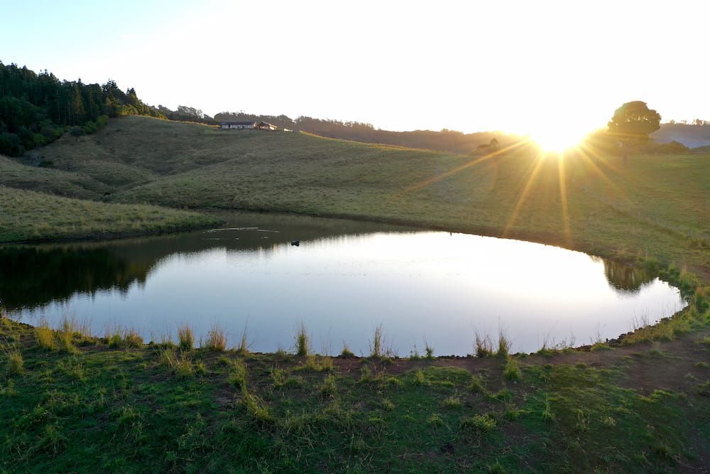 The Sun Is Setting Over A Small Pond In The Middle Of A Grassy Field — J & M Bashforth & Sons In Ballina, NSW