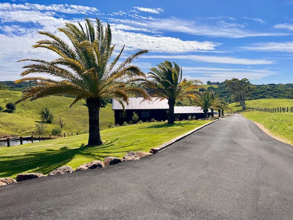 A Road With Palm Trees On The Side Of It — J & M Bashforth & Sons In Brunswick Heads, NSW