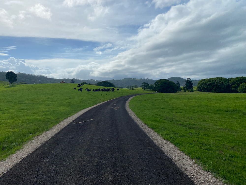 A Road Going Through A Grassy Field With Cows In The Distance — J & M Bashforth & Sons In Brunswick Heads, NSW