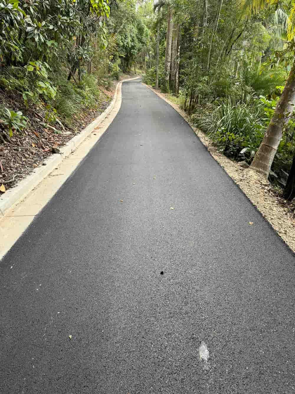 A Black Road Going Through A Forest With Trees On Both Sides — J & M Bashforth & Sons In Brunswick Heads, NSW