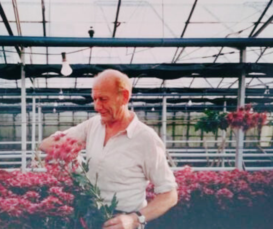 Een man staat in een kas met een bos roze bloemen in zijn handen