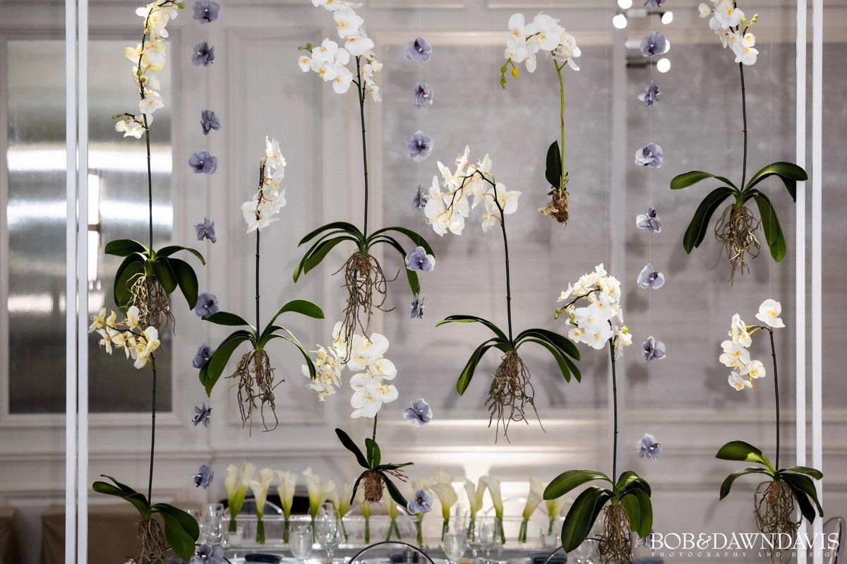 A row of white orchids hanging from a white frame on a wall.