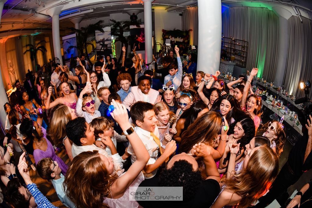 A large group of people are dancing at a party.