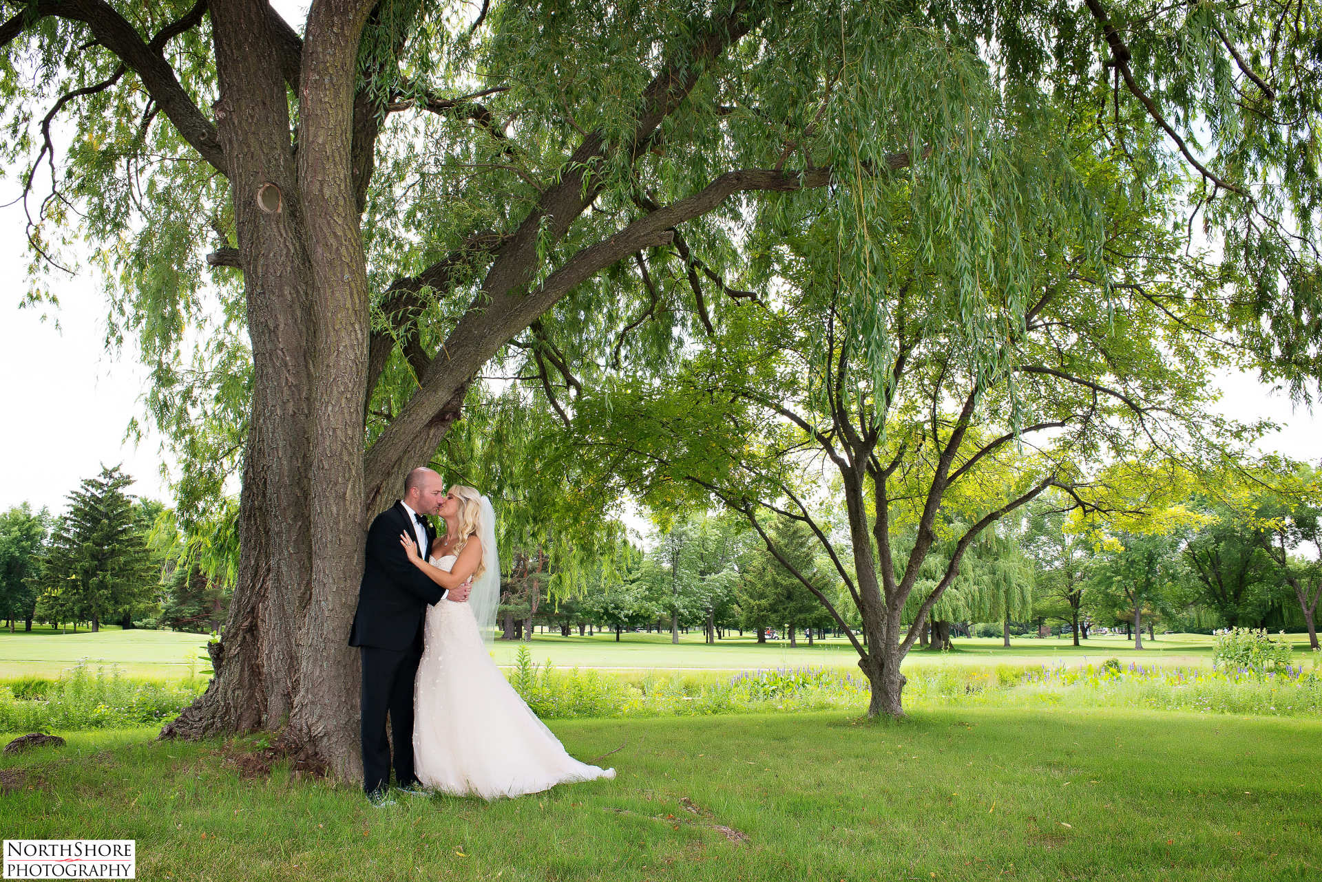 A bride and groom are kissing under a tree in a park.