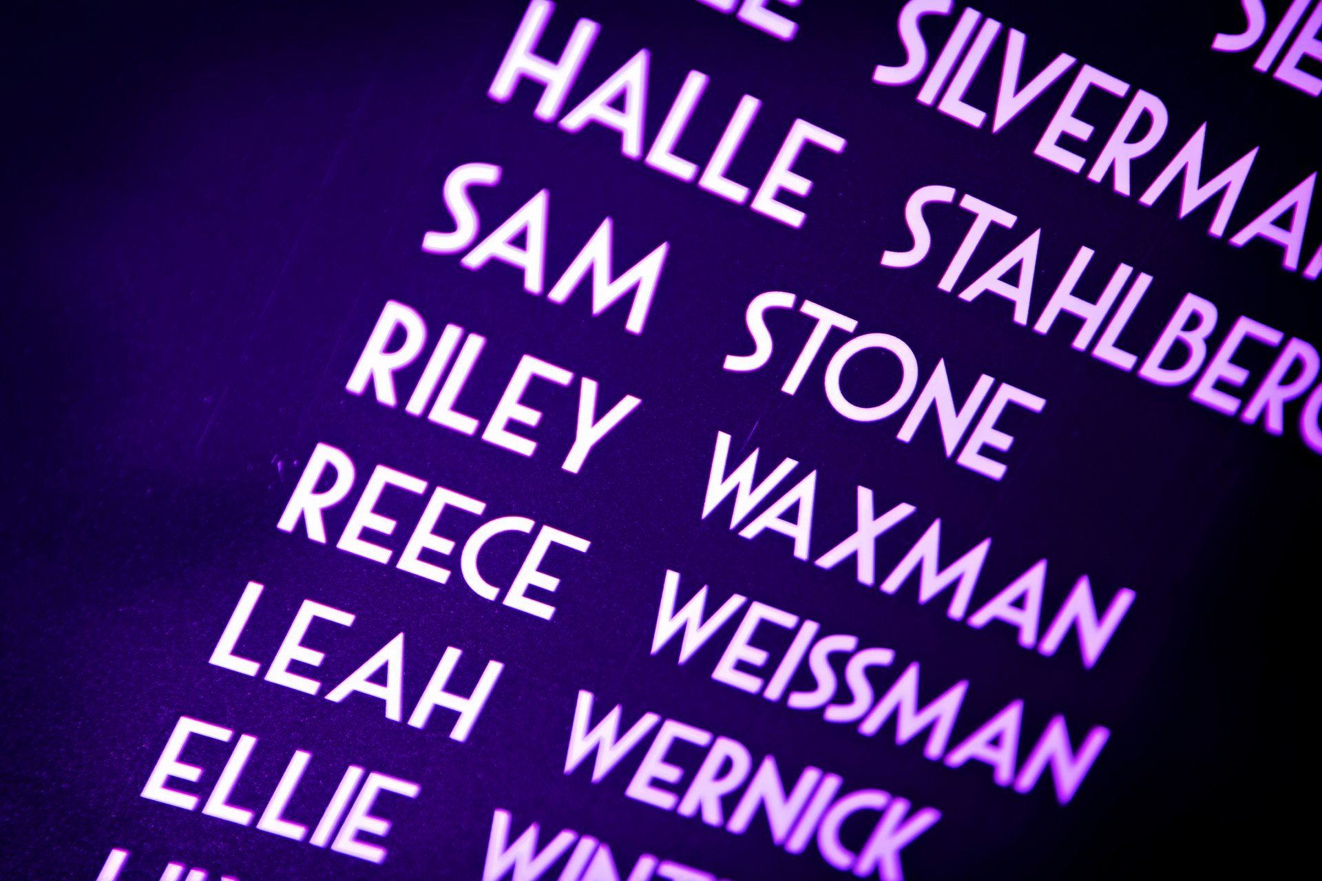A list of names including halle stahlberg riley waxman and leah weissman