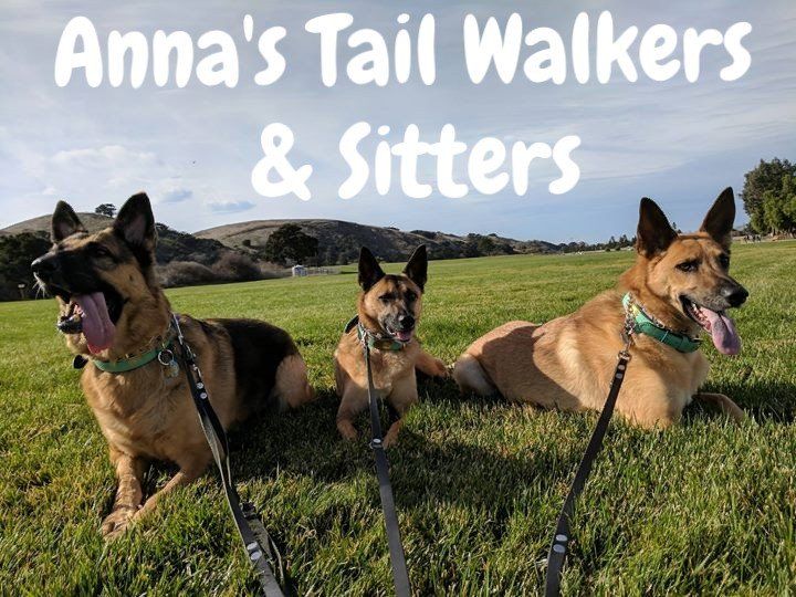 photo by: Anna's Tail Walkers & Sitters Happy dogs with Anna's Tail Walkers & Sitters