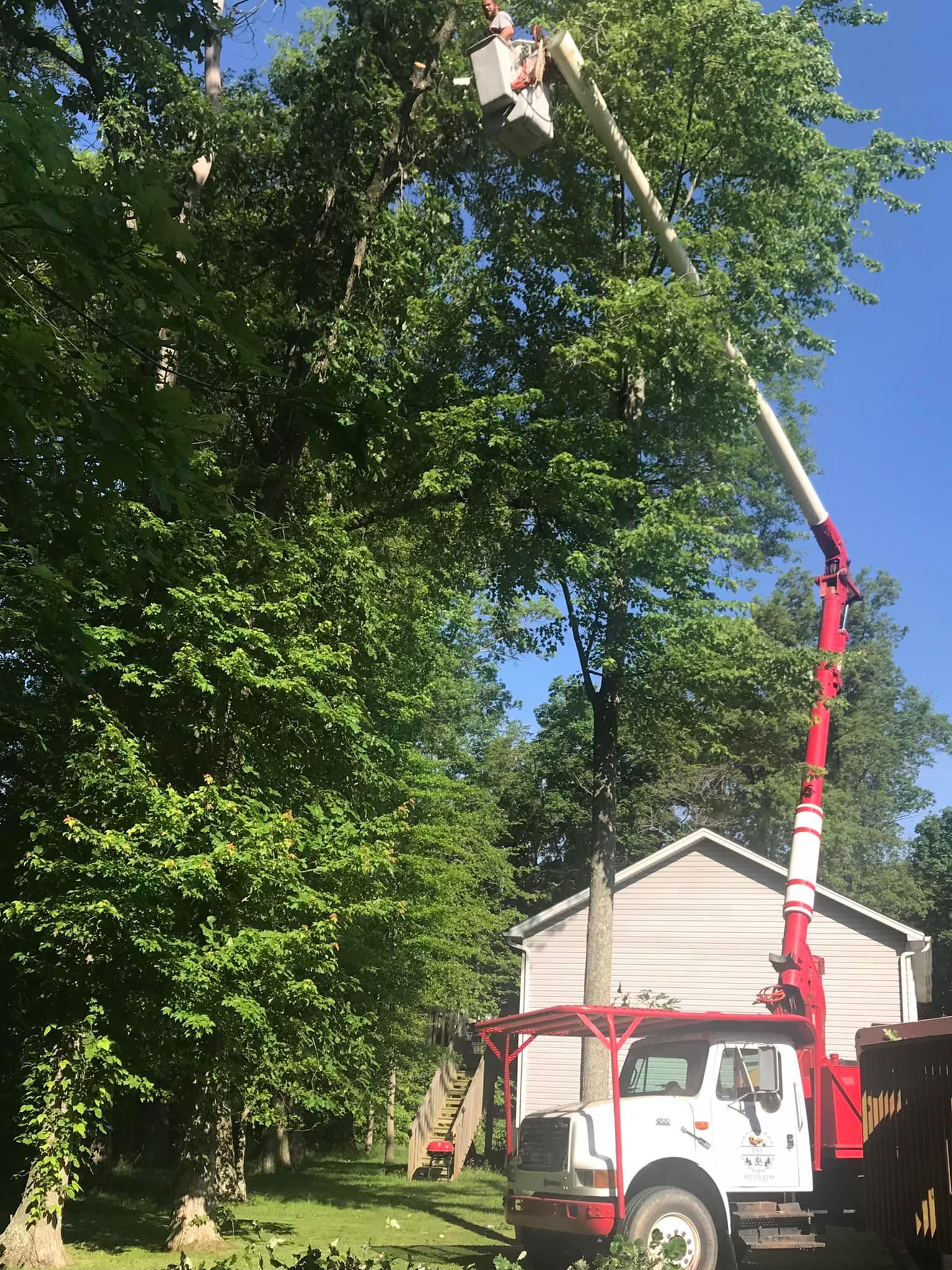 A tree trimming truck is cutting a tree in front of a house.