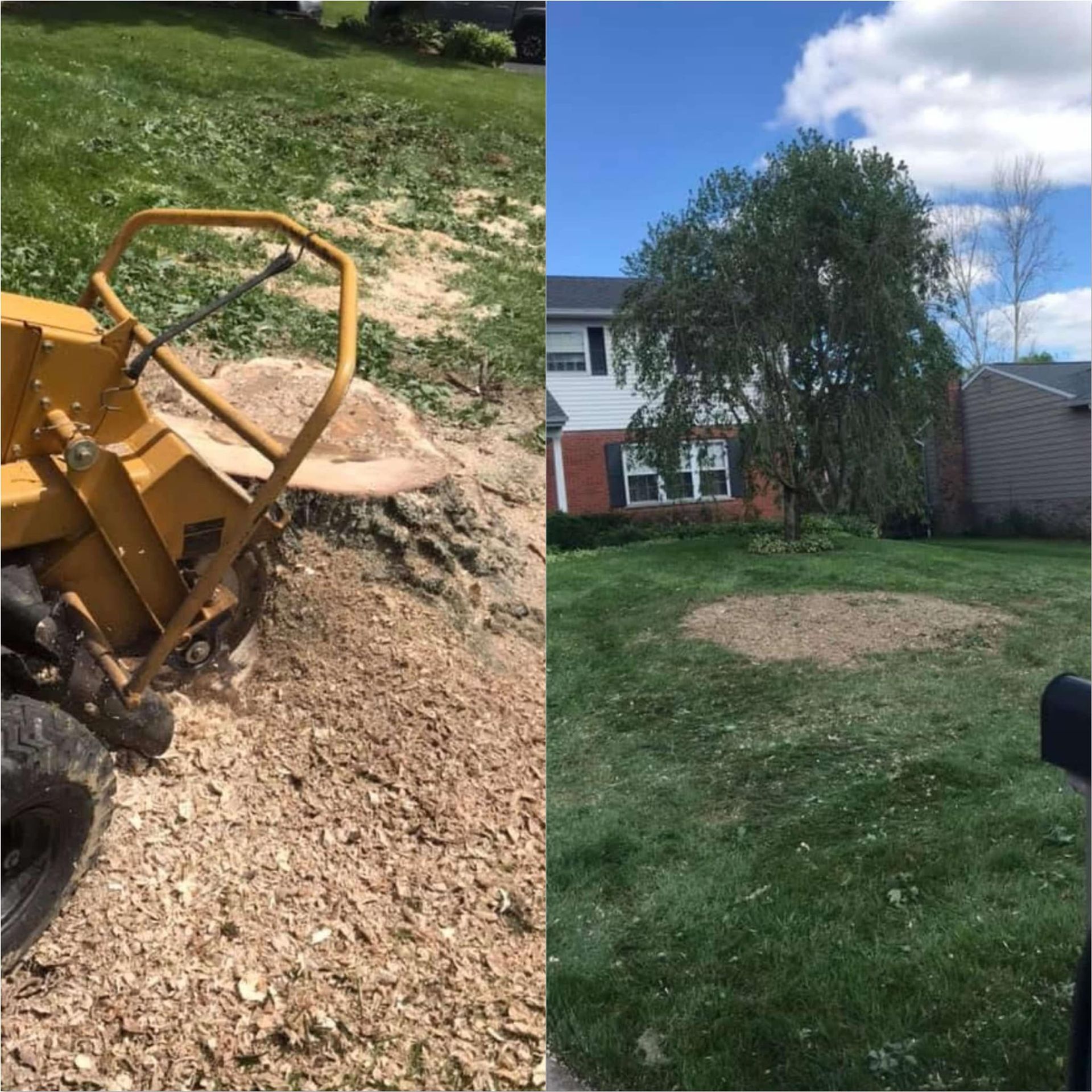 A before and after picture of a tree stump removal in a yard.