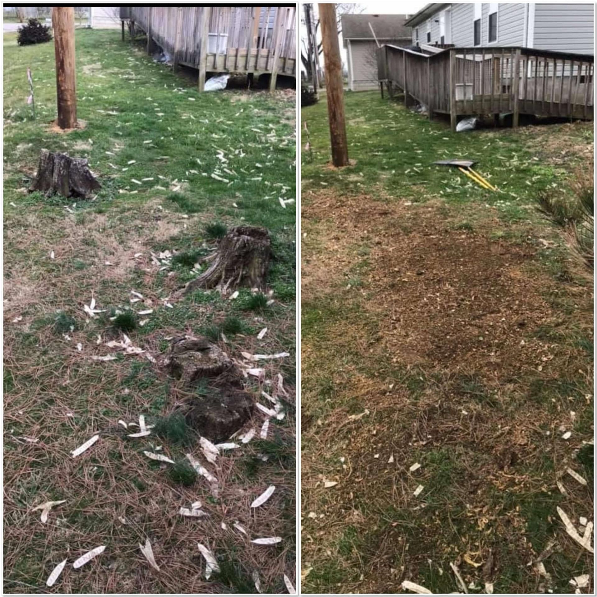 A before and after picture of a yard with a stump and a deck.