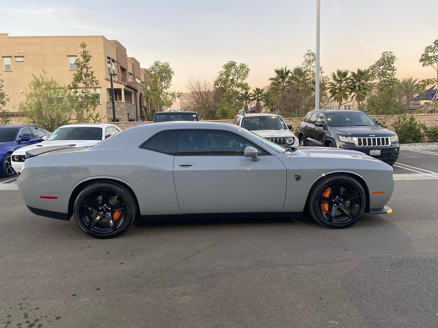 Gray Car — Anaheim, CA — Fimly Tint