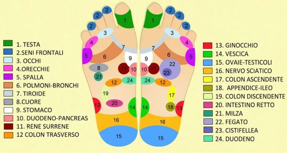 Grafico con zone del piede
