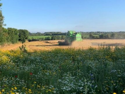 a green combine harvester is working in a field of wheat .a green square with a green frame around it on a white background .