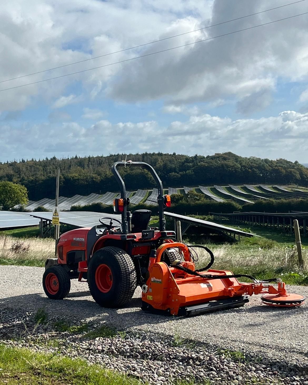 a tractor is plowing a field of red flowers .