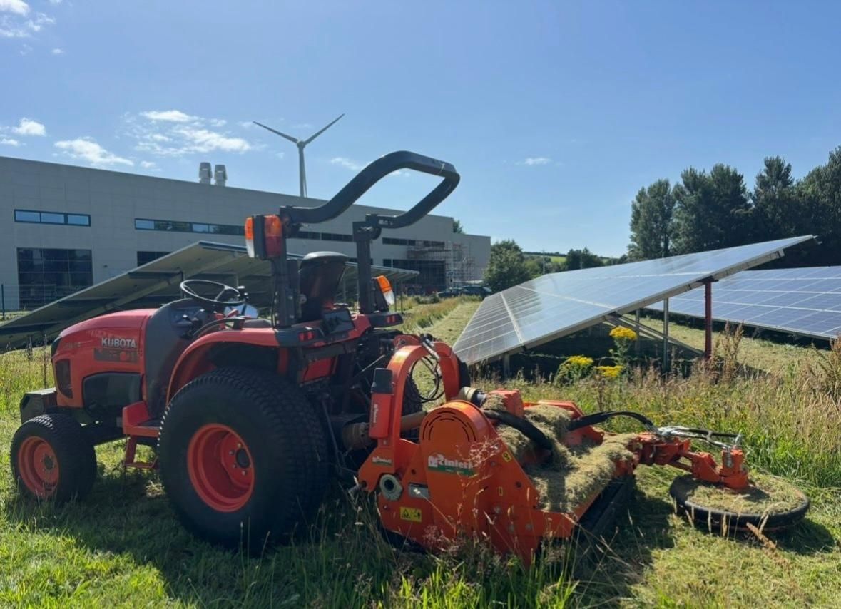 a tractor is plowing a field of red flowers .