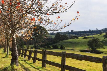 A Wooden Fence Surrounds a Grassy Field With Trees in the Background — Commercial Kitchens Direct in Southern Highlands, NSW