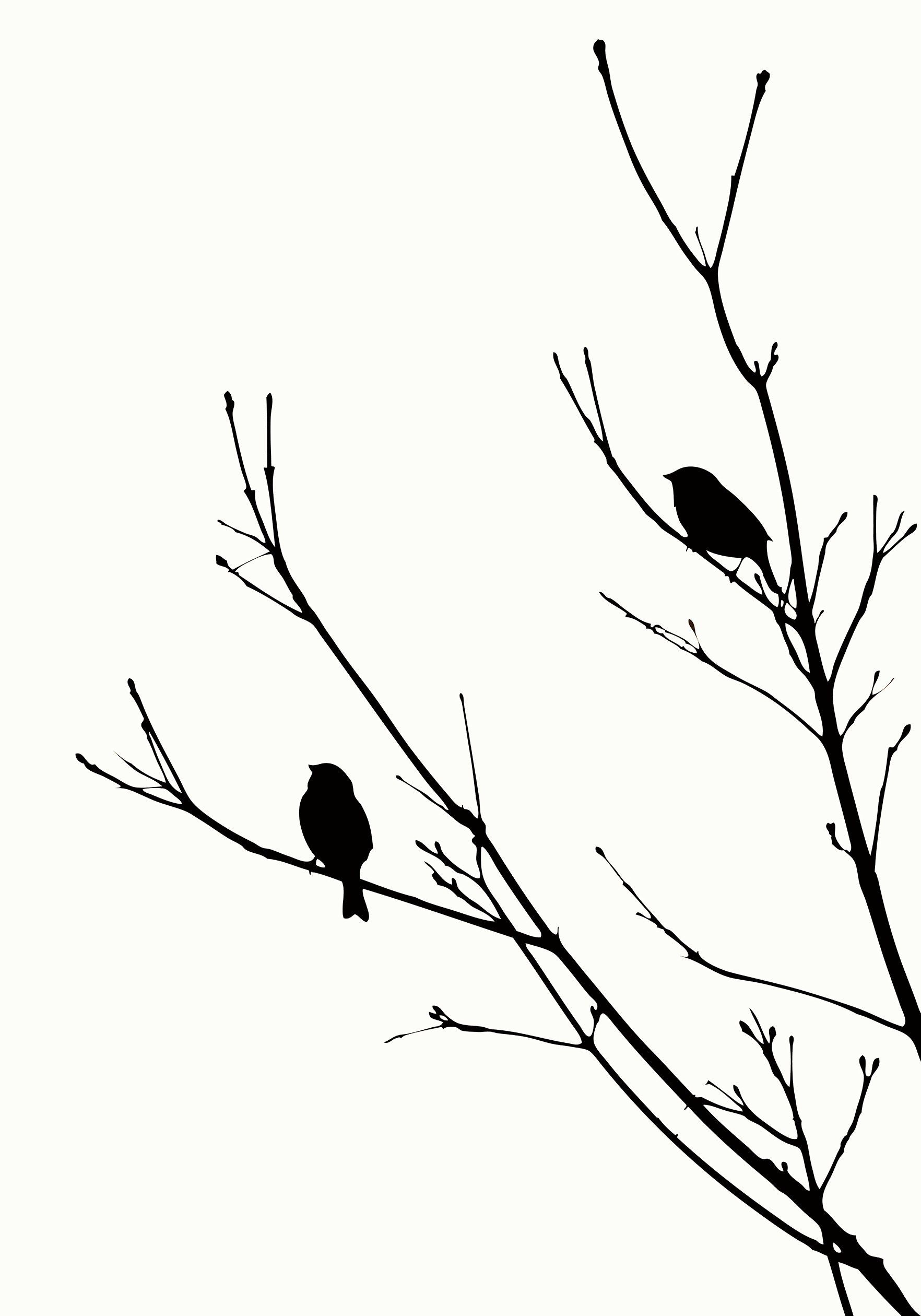 Quadros Personalizados Mitra Molduras Curitiba