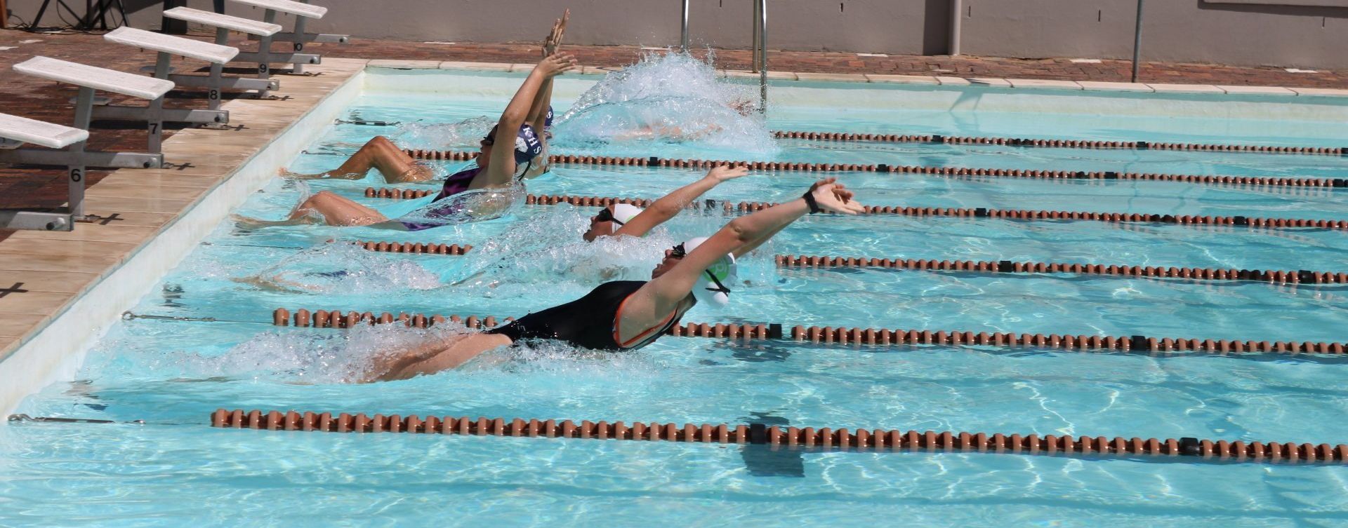 a group of people are swimming in a swimming pool .
