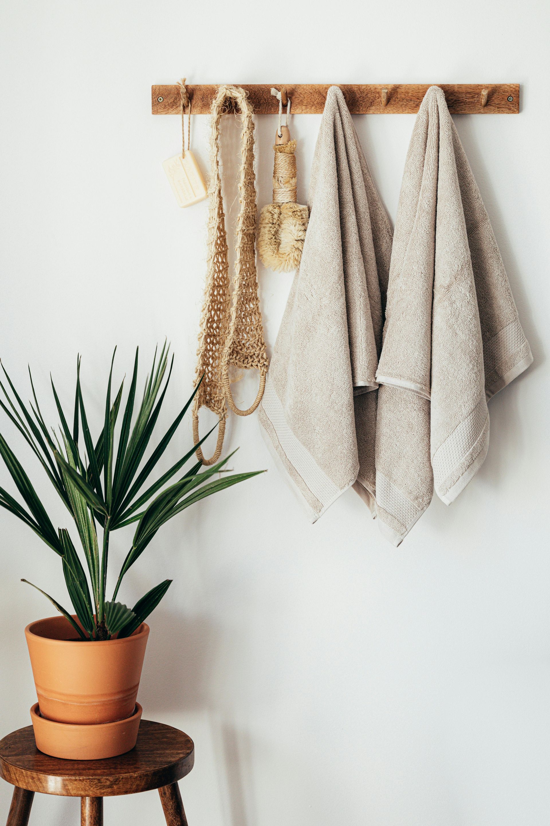Palm plant in terracotta pot on a wooden stool, towels hanging on a wooden rack against a white wall.