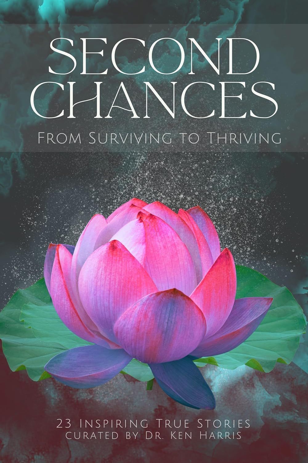 Second Chances From Surviving to Thriving