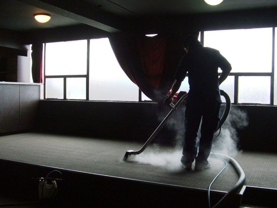 View of professional cleaning the carpet