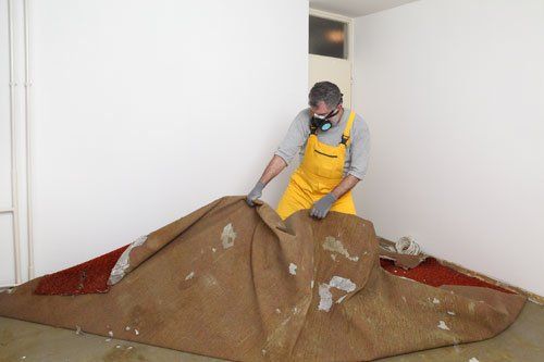 Carpet Cleaning
