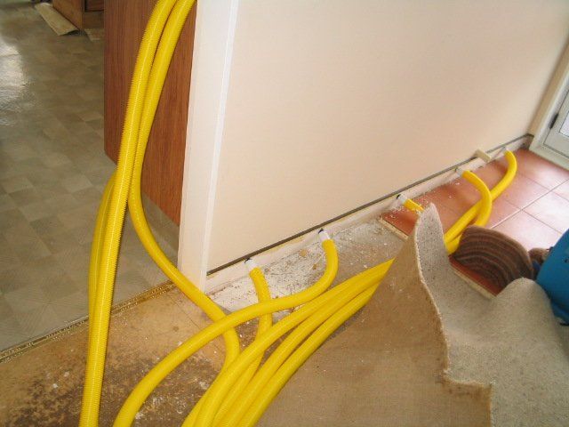 Cleaning of the stains from the carpet