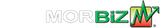 Powered by MORBIZ logo with black text, green/red chart icon, and upward arrow.