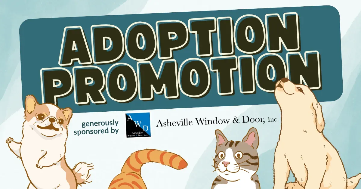 Adoption promotion banner featuring cartoon dogs and cats, sponsored by Asheville Window & Door, Inc.