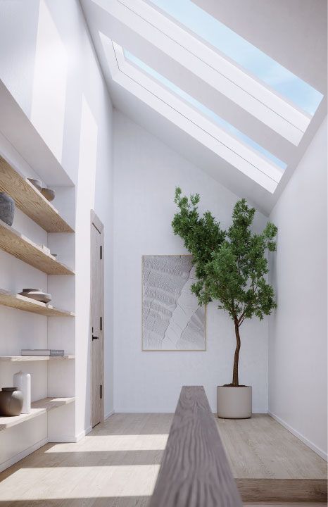A room with a skylight and a potted plant