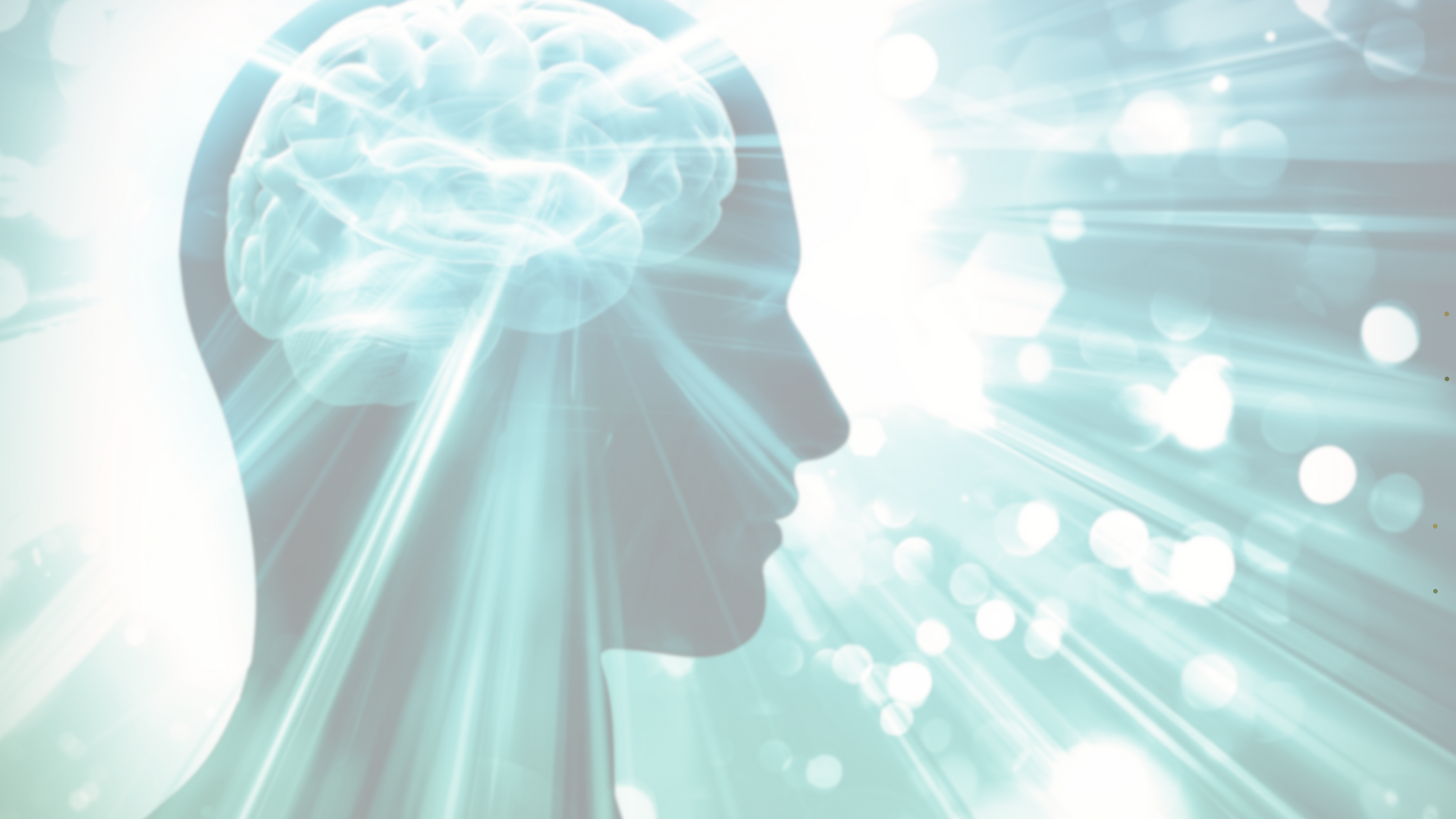 Senior Spotlight: Brain Health Beyond MRIs