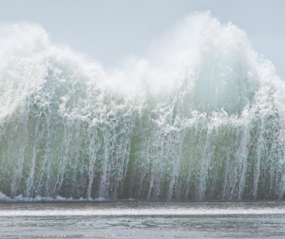 Tsunami you