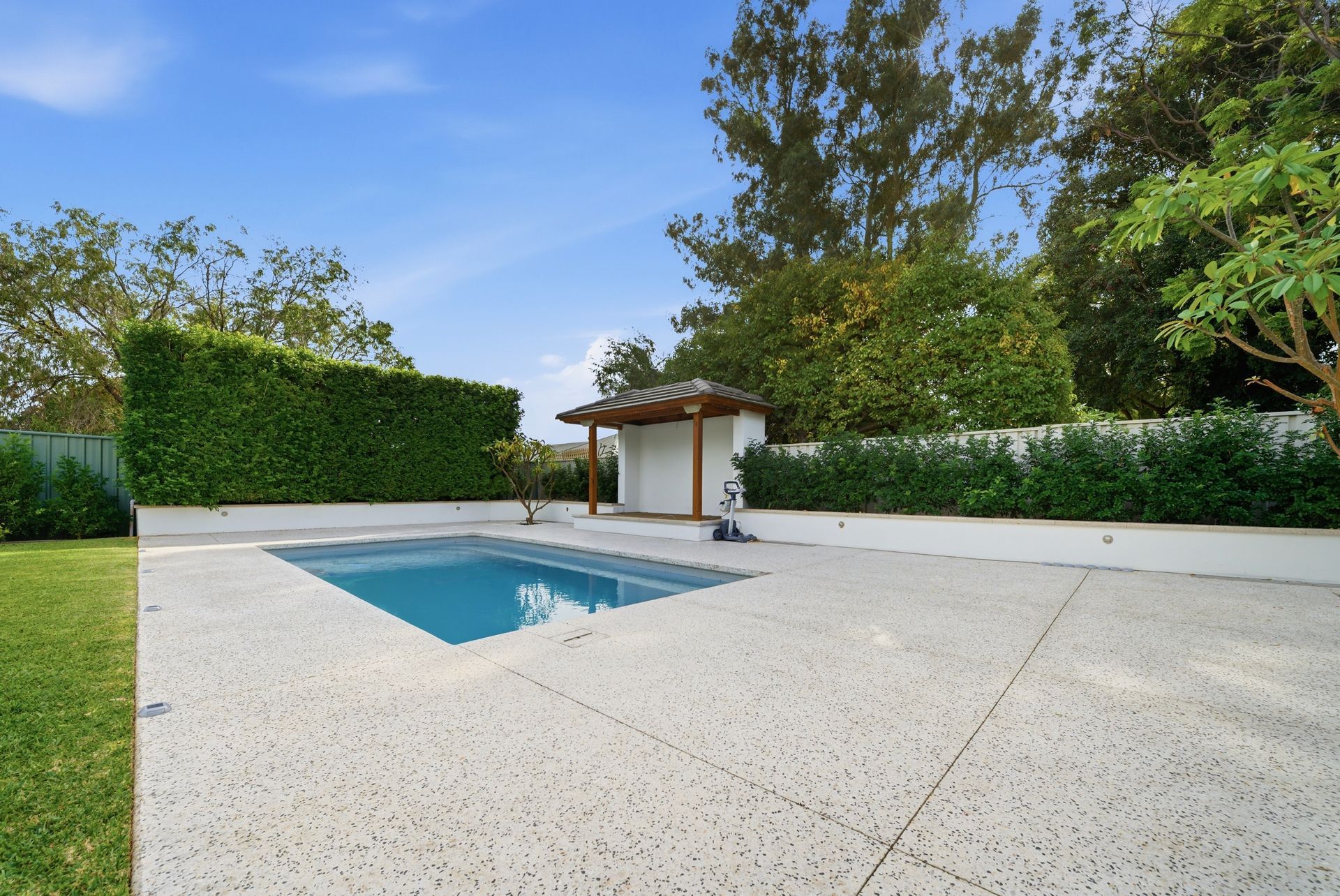 honed concrete pool surround Backyard patio with a small blue swimming pool, white decking, and hedges under a clear sky