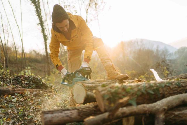 A Man cutting a Log with a Chainsaw - Kokomo. IN - Austin Tree Care