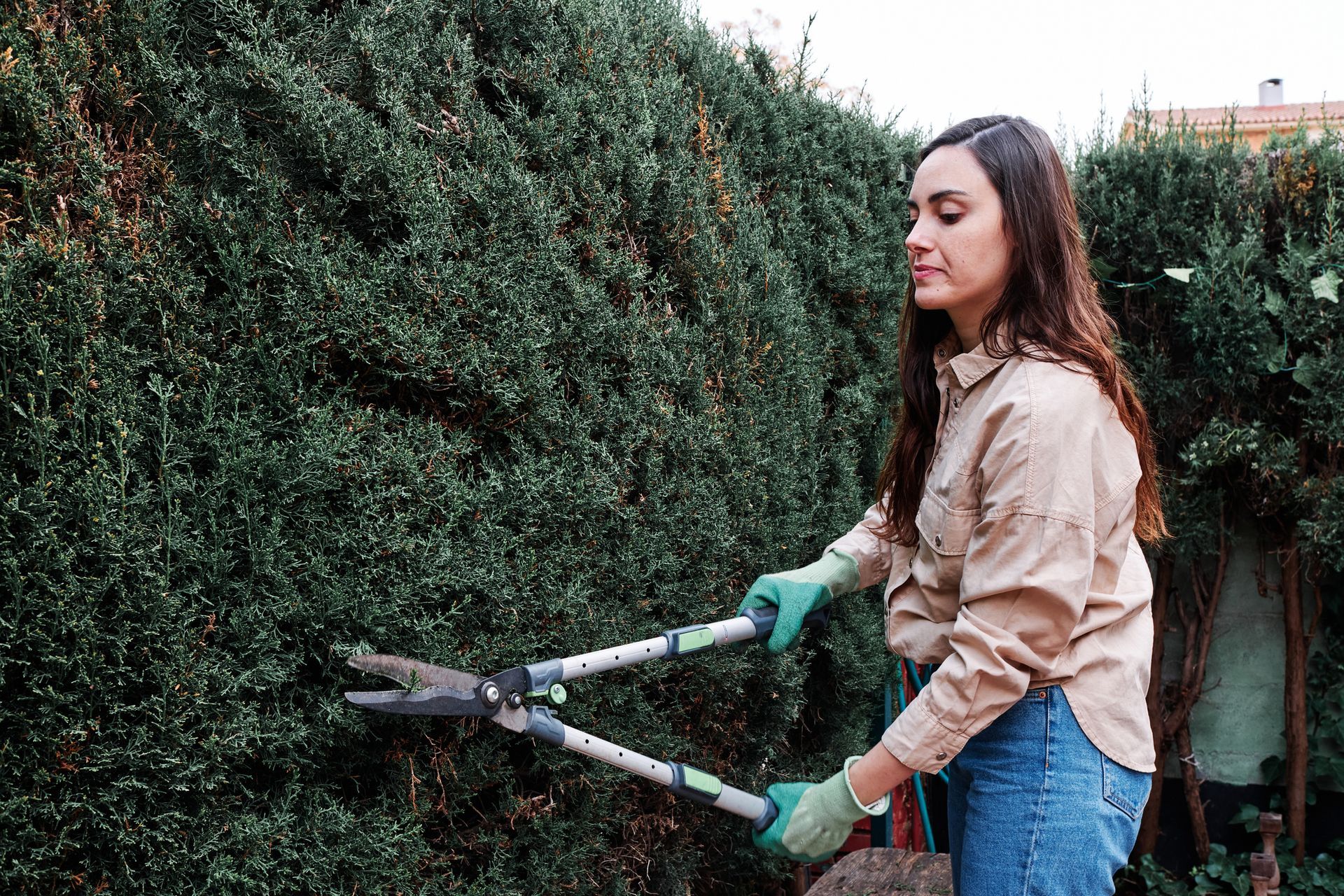 A Woman is cutting a Hedge with a pair of Scissors - Kokomo. IN - Austin Tree Care