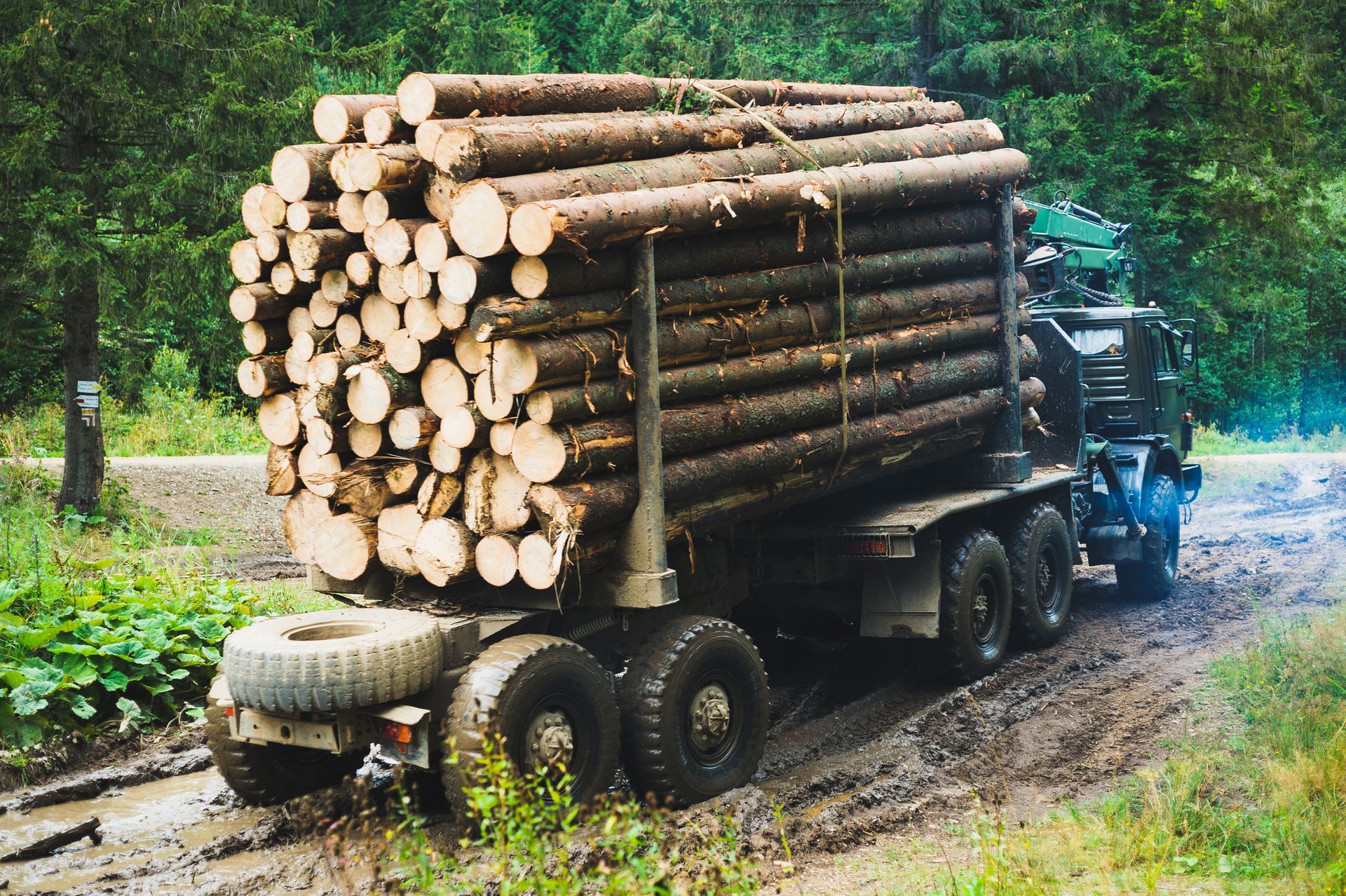 A Truck carrying Logs is driving down a Muddy Road - Kokomo. IN - Austin Tree Care