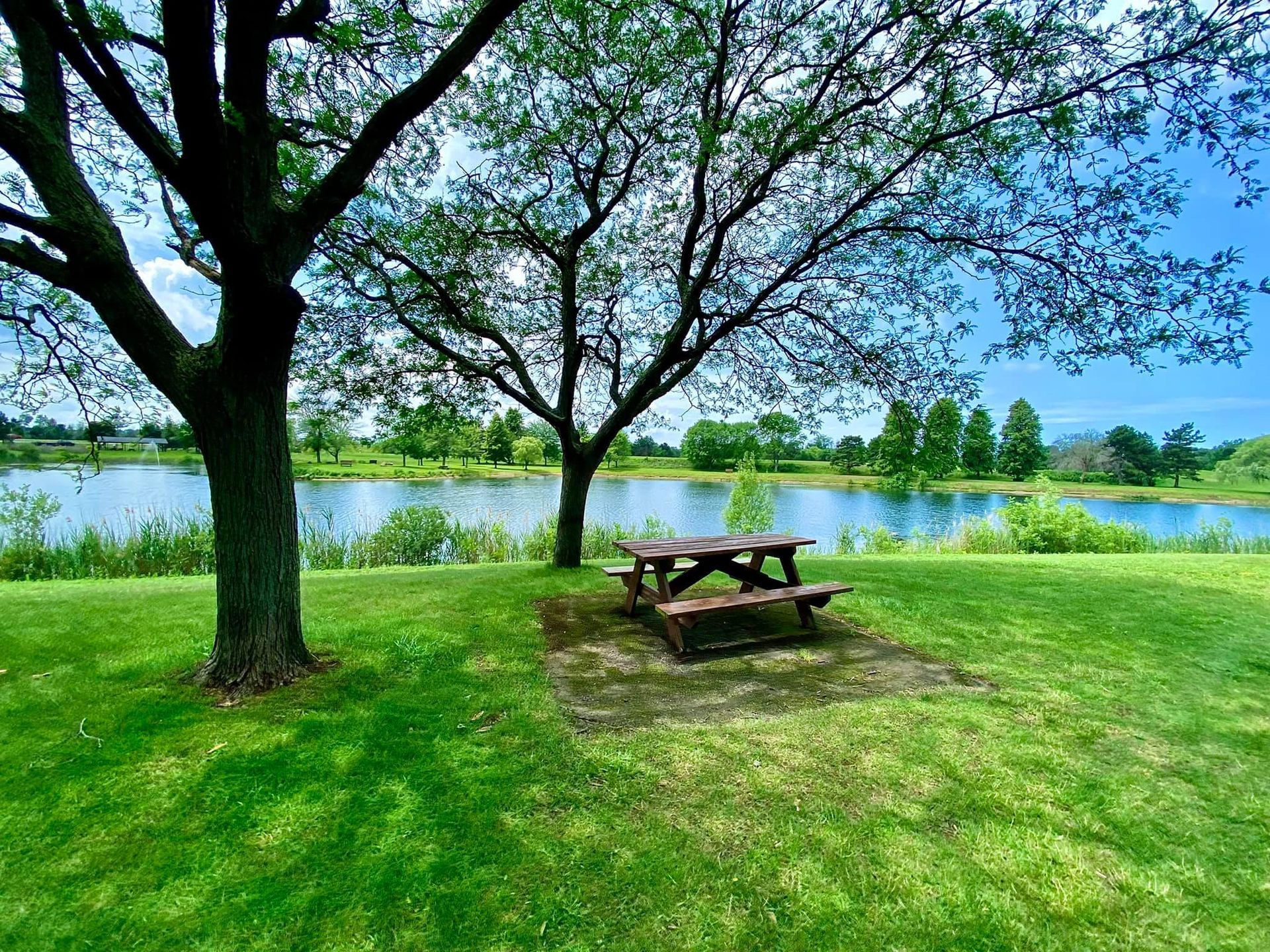 a picnic table is sitting in the middle of a grassy field next to a lake .