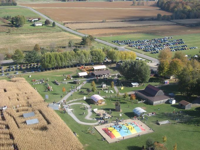 an aerial view of a pumpkin patch with a colorful playground