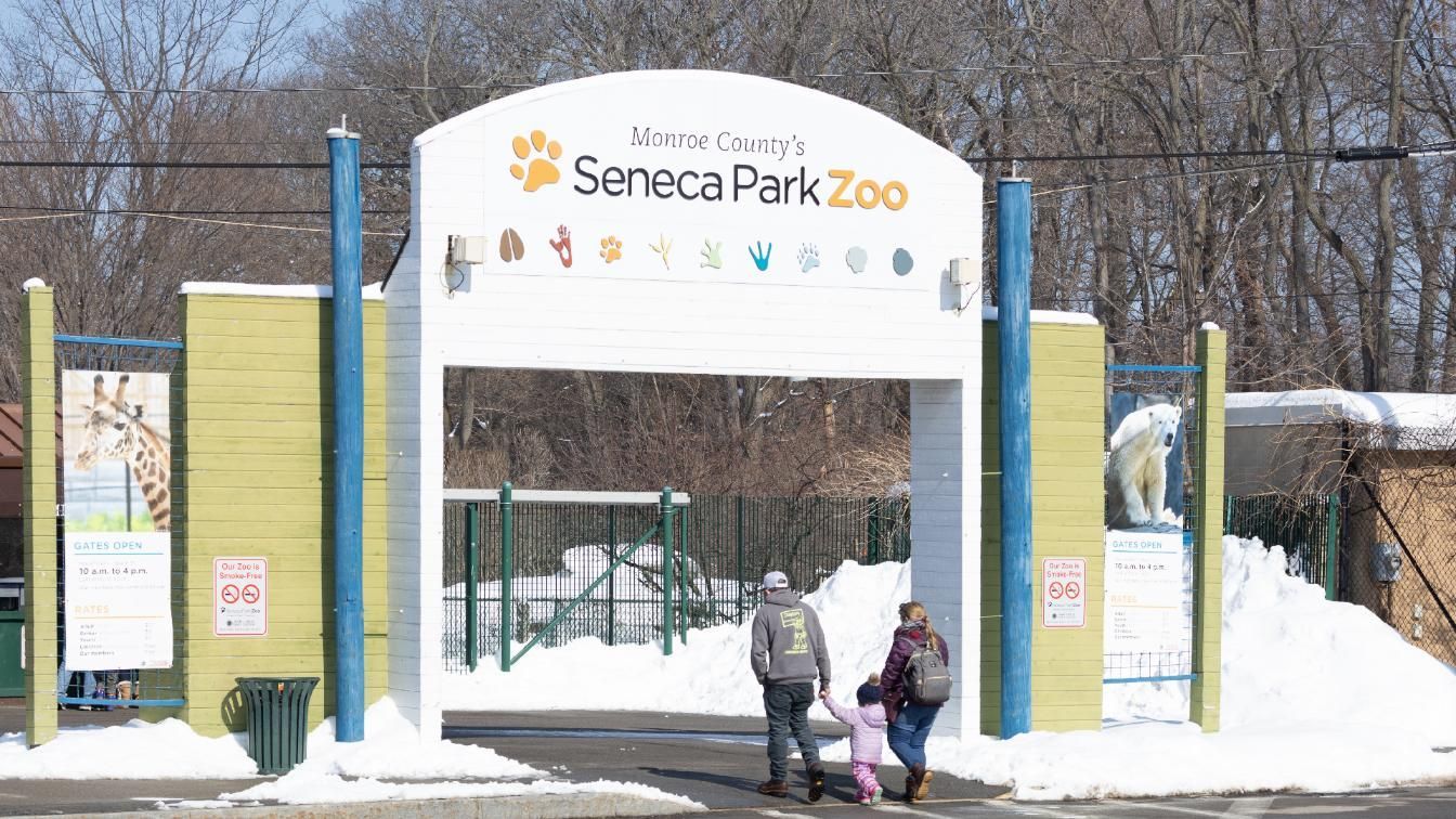 Seneca Park Zoos in Rochester NY | SL Custom Construction