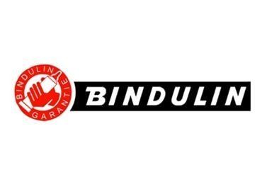 Logo Binduli
