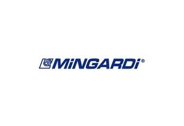 Logo Mingardi