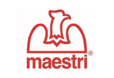 Logo Maestri
