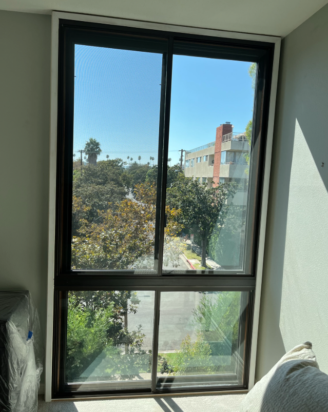 Black-framed window overlooking trees and buildings; bright outdoor view.