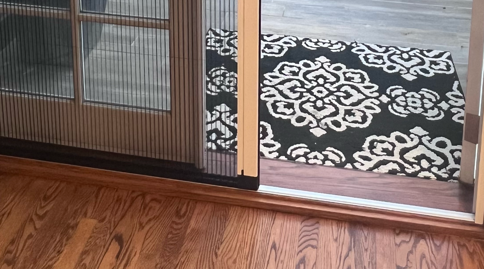 A retractable screen door covers half of a sliding glass door opening, leading to a deck with a black and white rug.