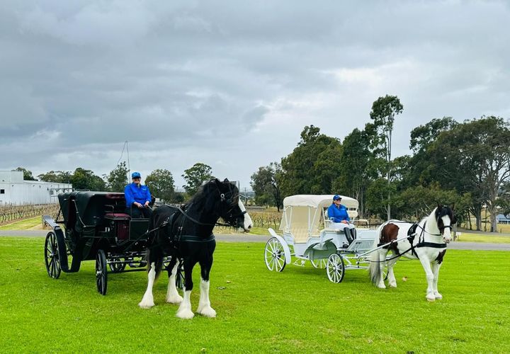 Two Horse Drawn Carriages Are Parked in a Grassy Field — Prestige Horse Carriages in Mitchells Flat, NSW