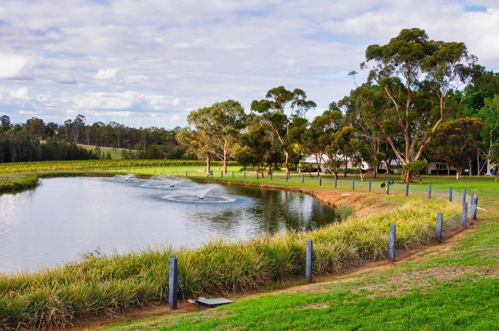 A Pond With A Fountain In The Middle Of It — Prestige Horse Carriages in Pokolbin, NSW