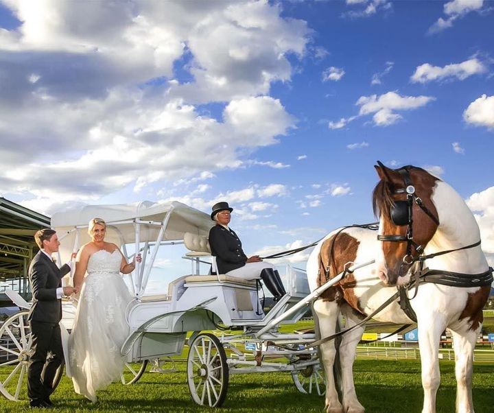 A Bride And Groom Stand Next To A Horse Drawn Carriage — Prestige Horse Carriages in Mitchells Flat, NSW