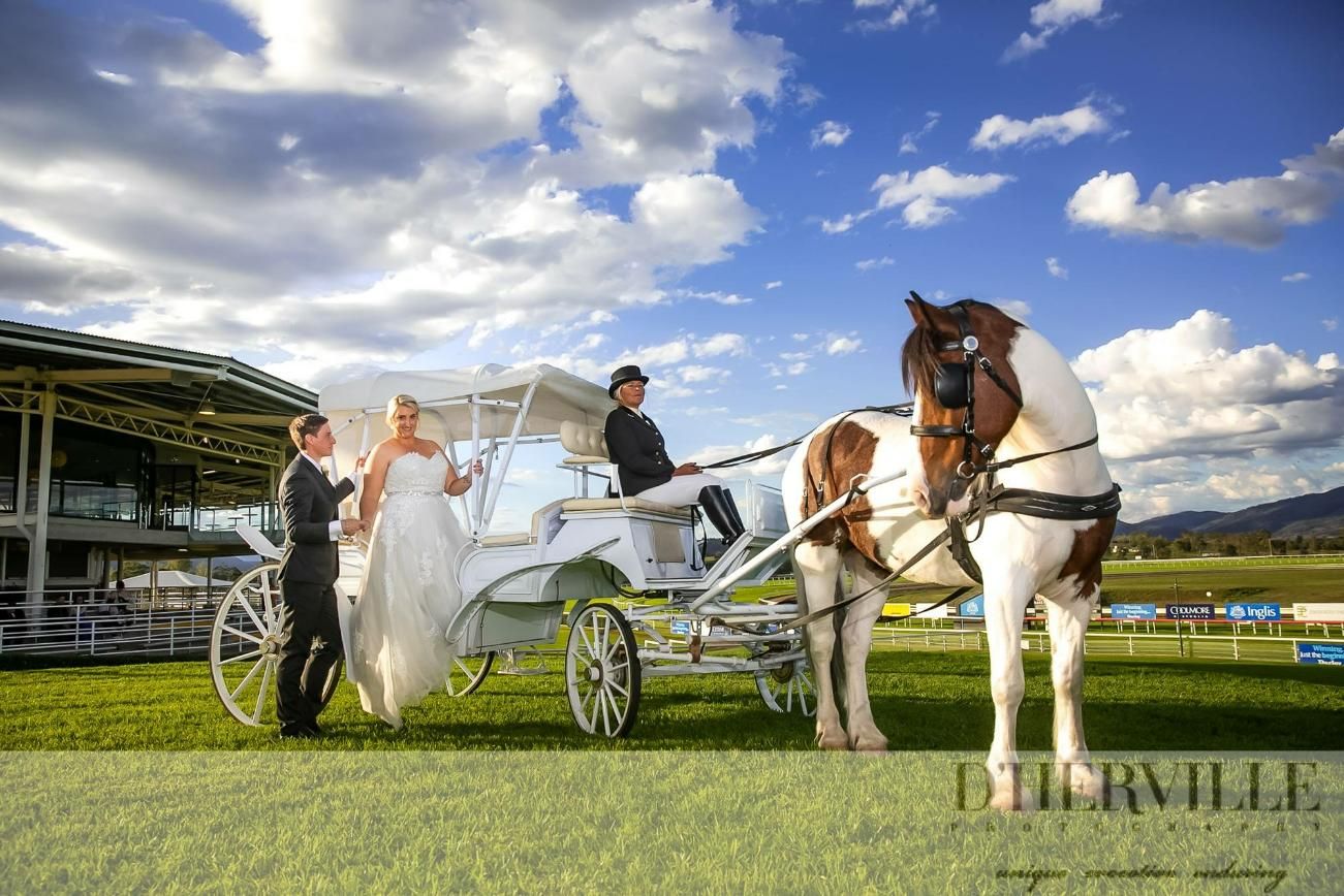 A Bride and Groom Are Standing Next to a Horse Drawn Carriage — Prestige Horse Carriages in Tamworth, NSW