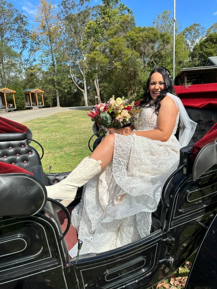 A Bride is Sitting in a Horse Drawn Carriage — Prestige Horse Carriages in Mitchells Flat, NSW